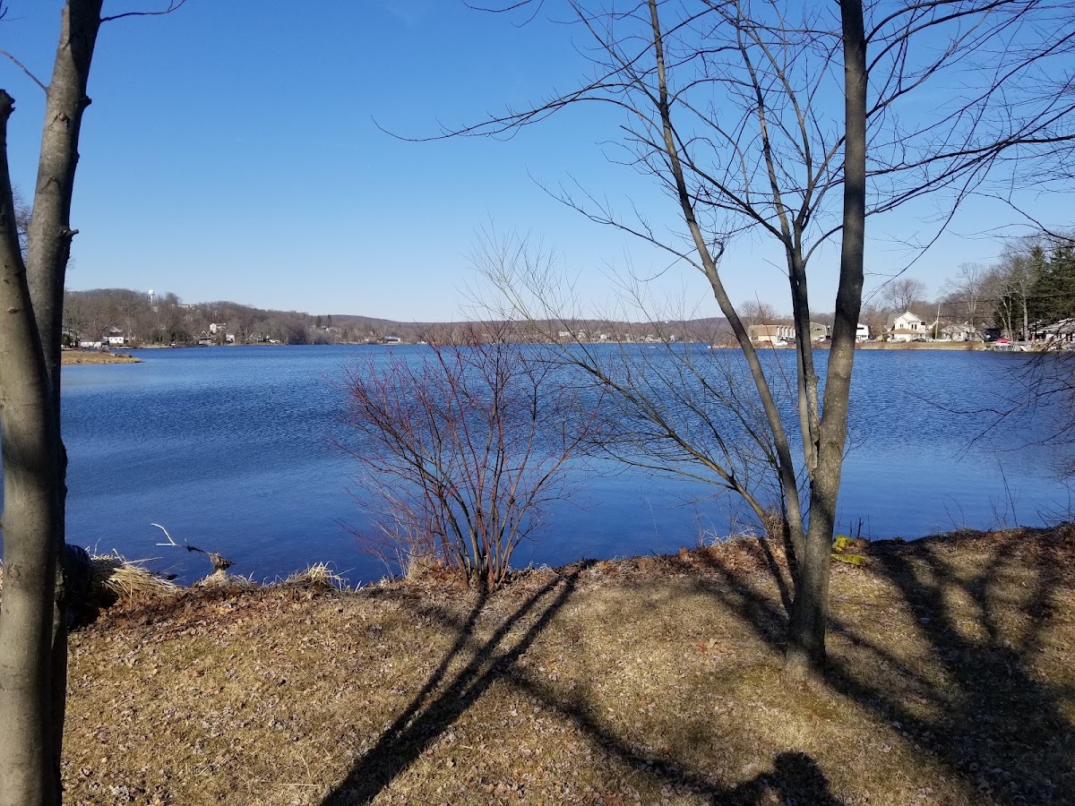Lake Musconetcong