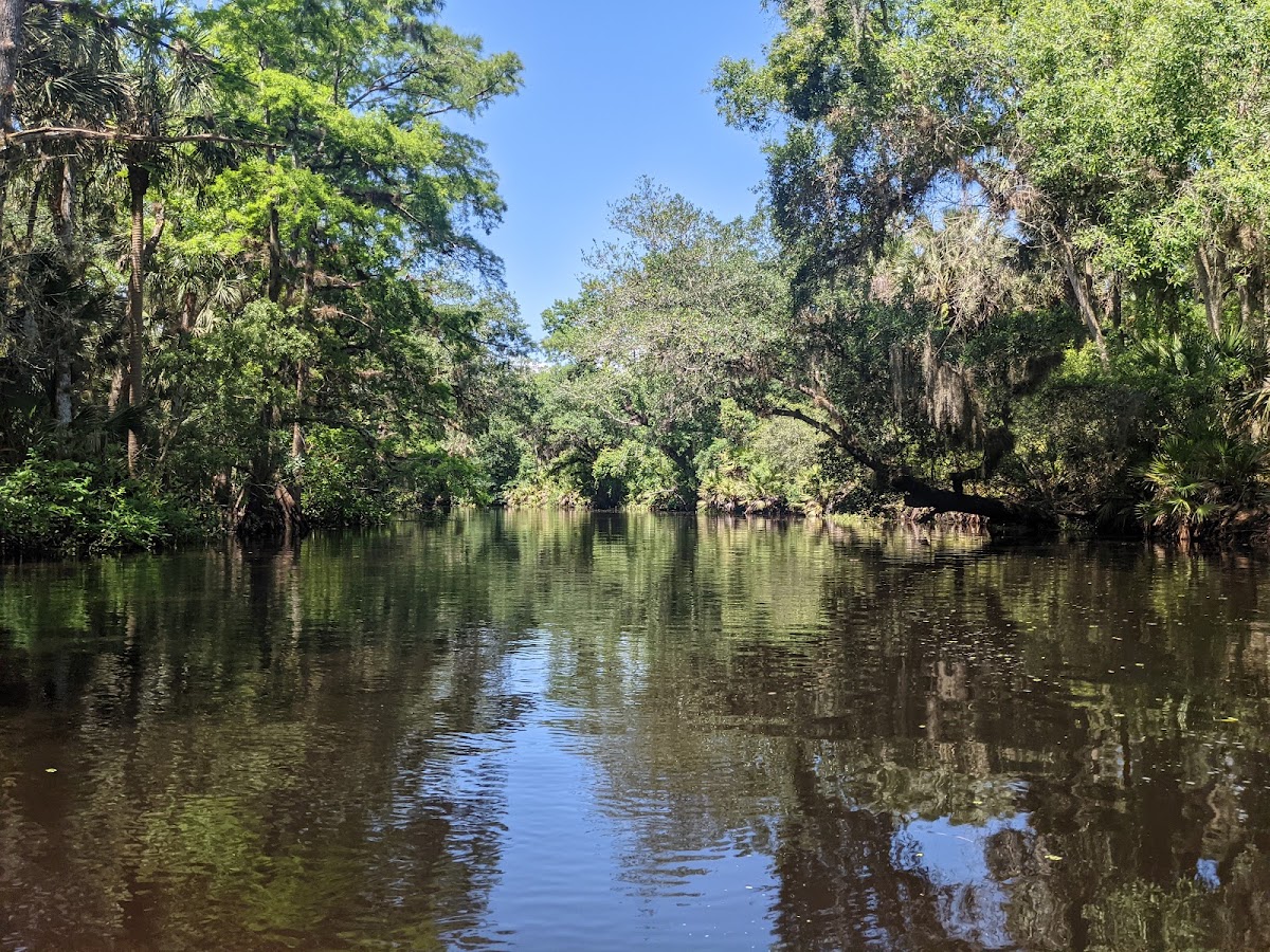 Haw Creek Preserve State Park