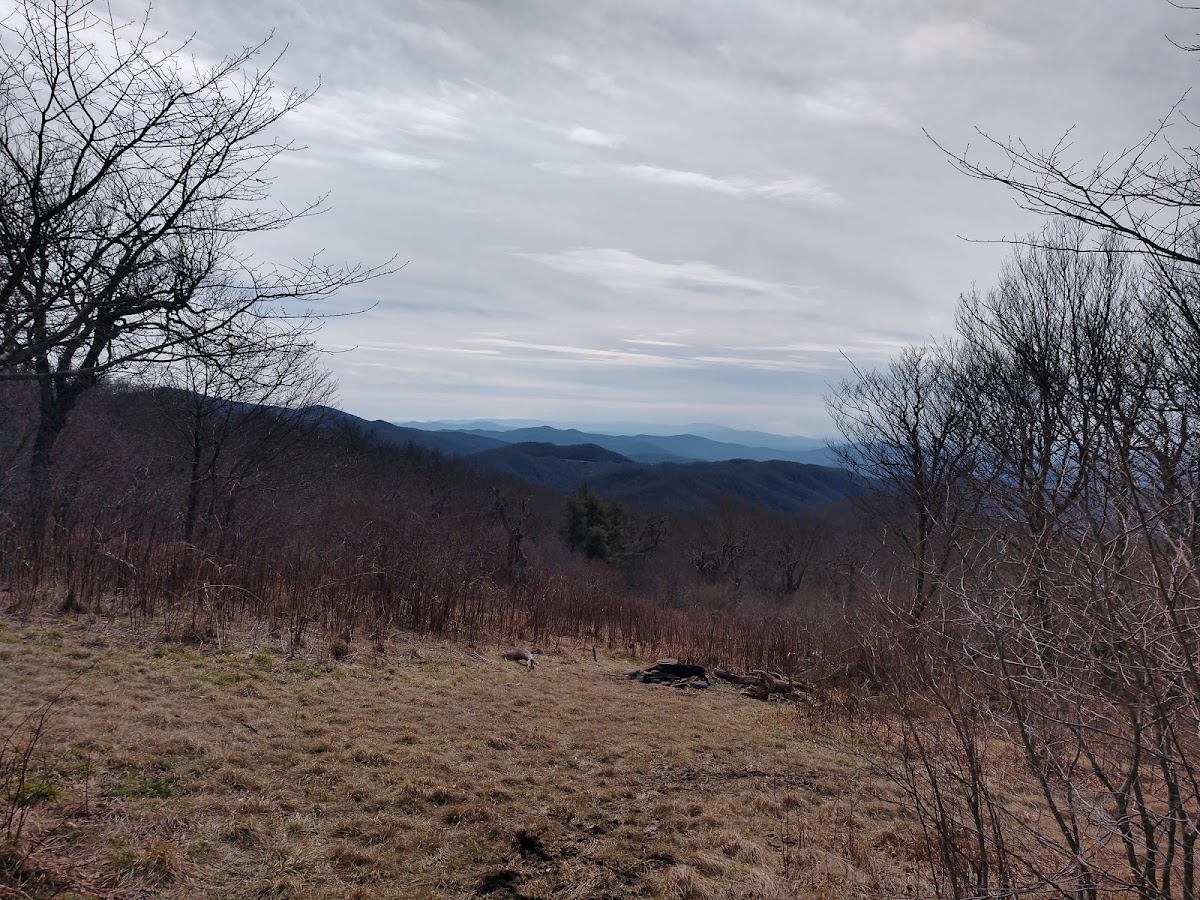 Stratton Bald Trail
