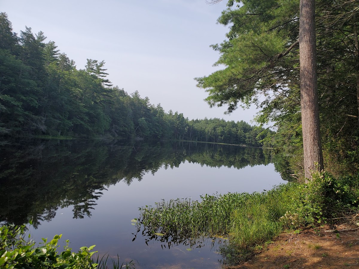Breakneck Pond