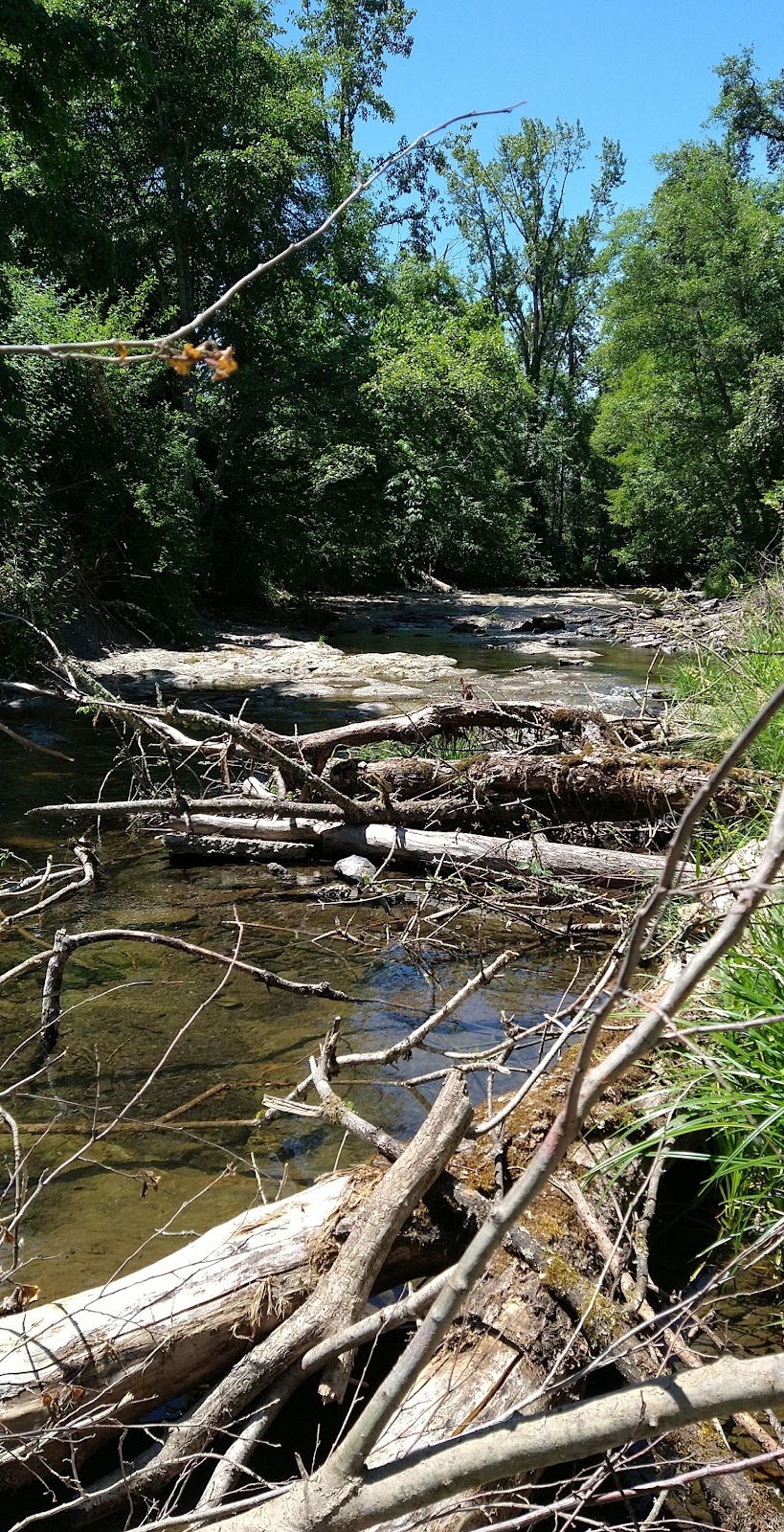 Rickreall Creek
