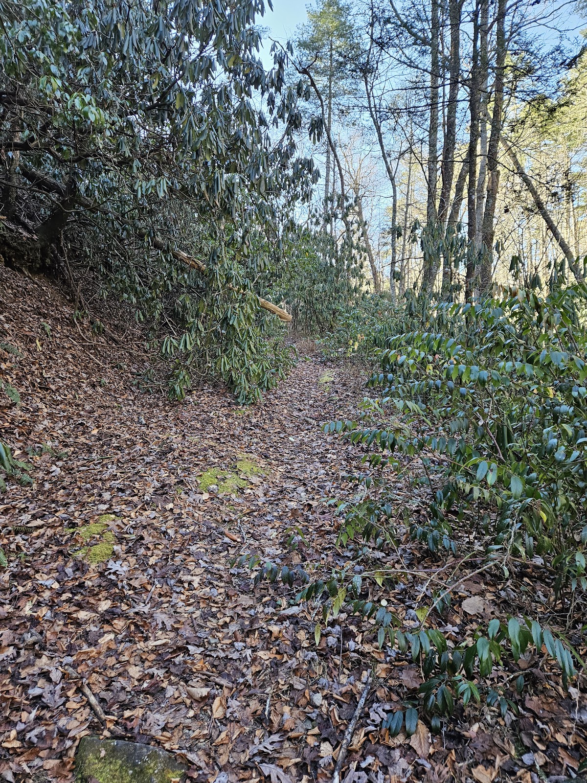 Ellicotts Rock Trail