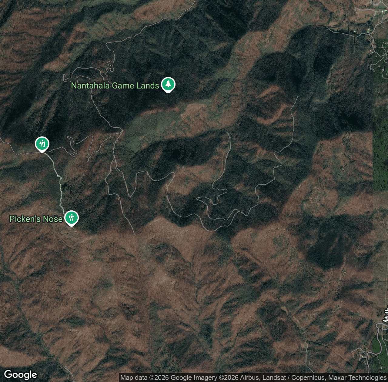 Dryman Fork Road
