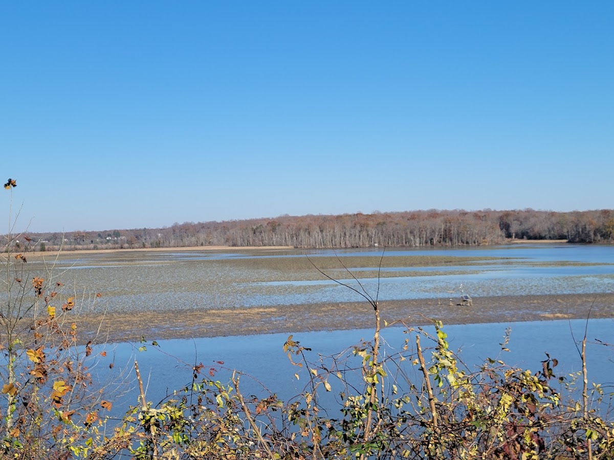Patuxent River Park III