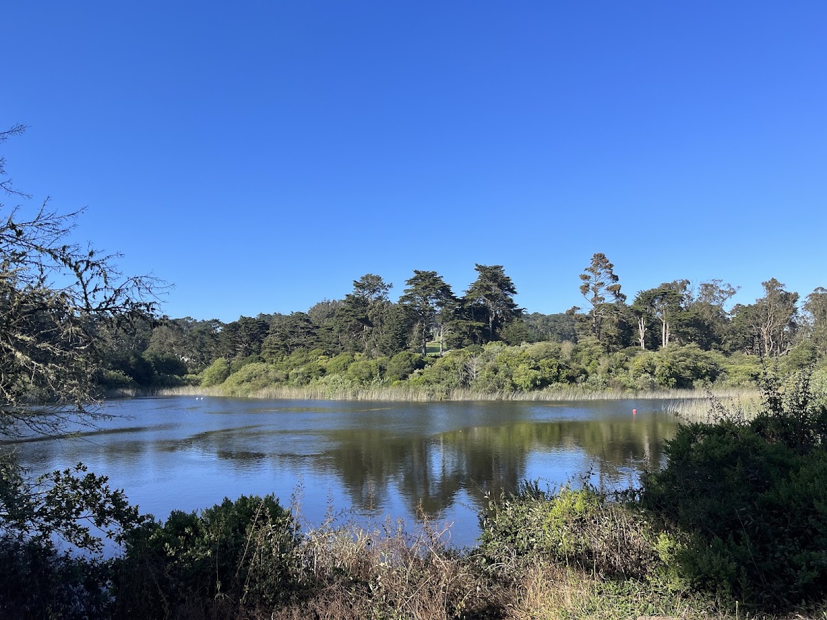 Mountain Lake