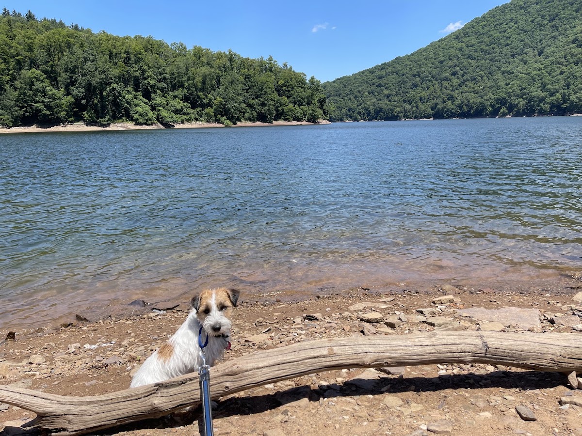 Savage River Reservoir