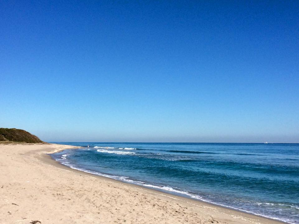 John D MacArthur Beach State Park