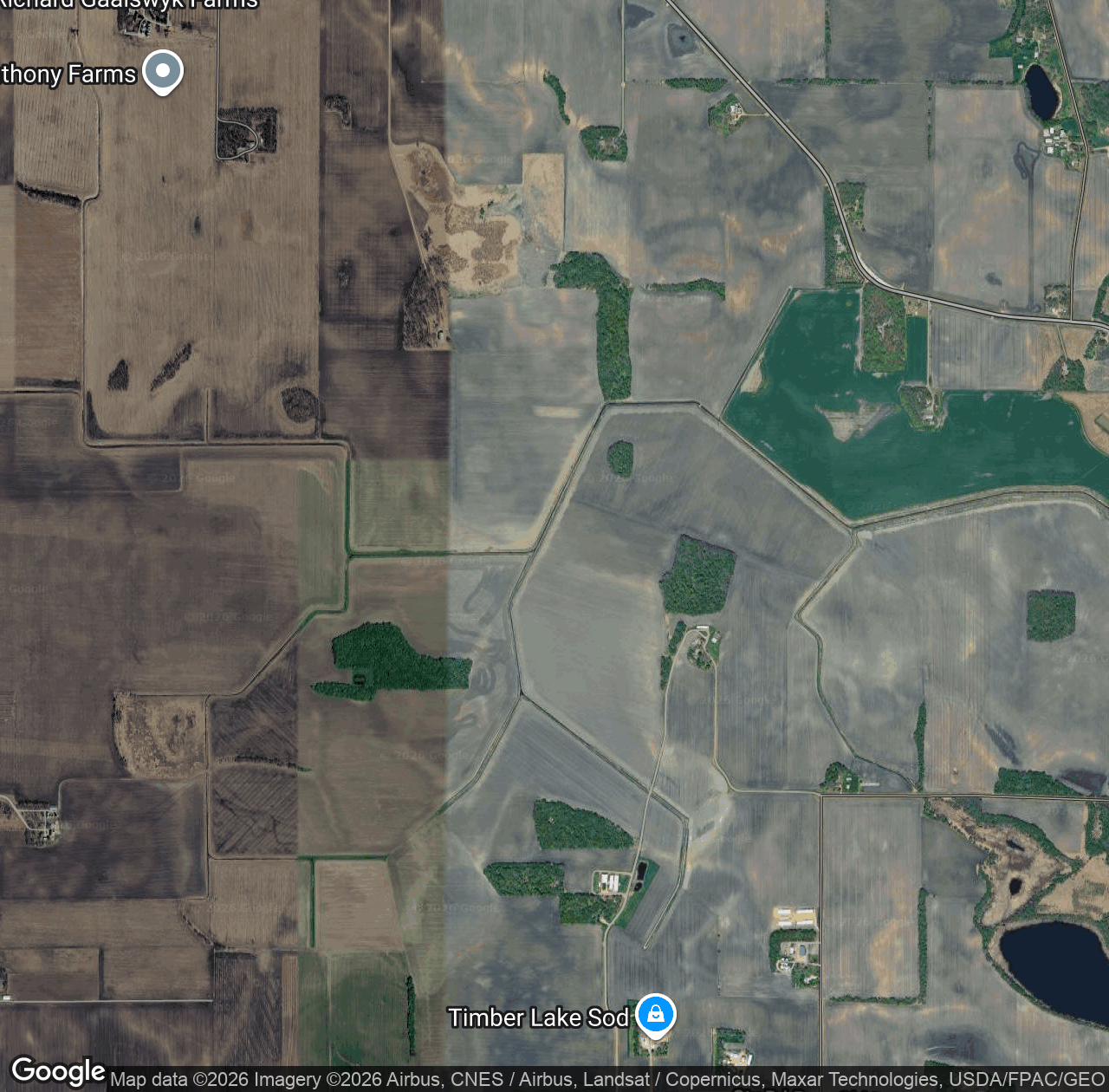 Timber Lakebed