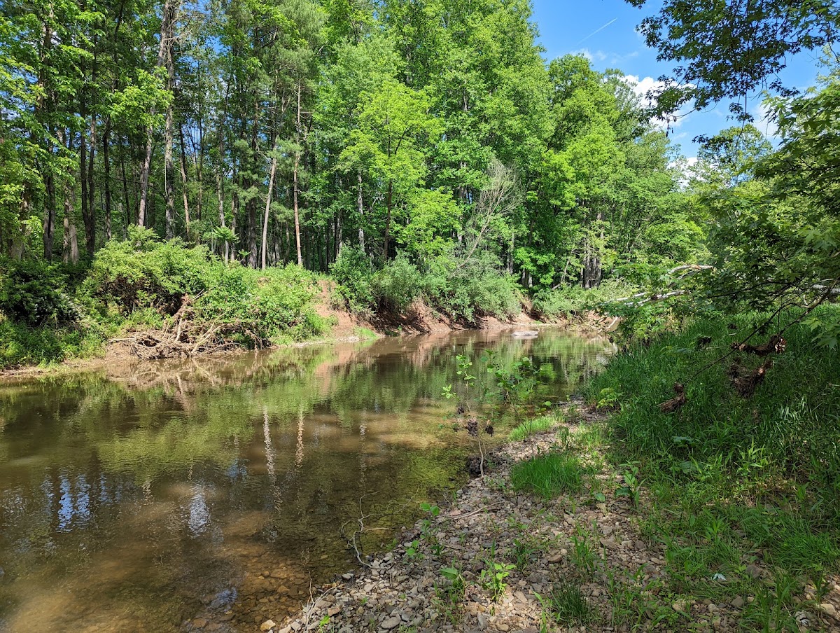 North River
