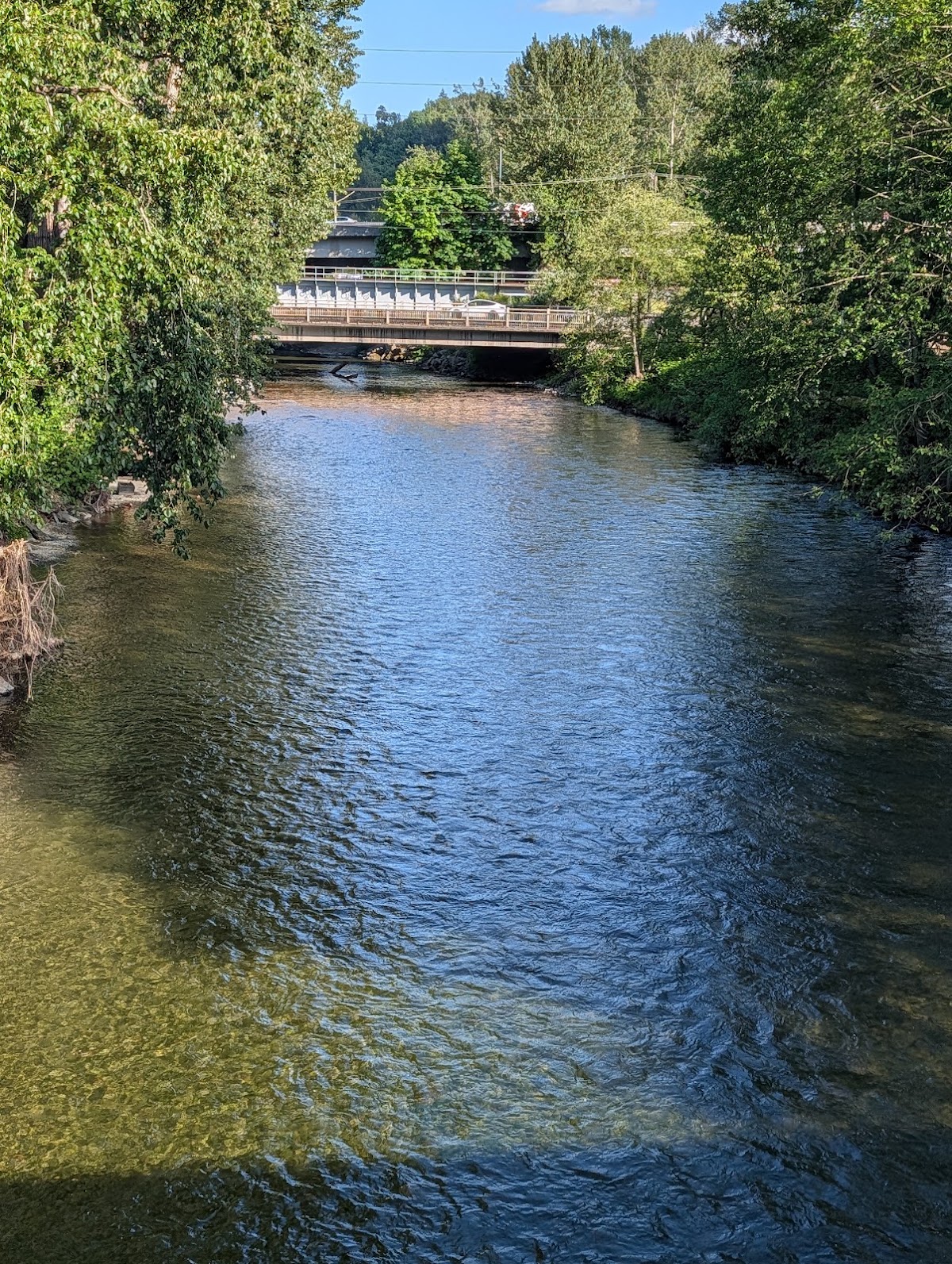 Cedar River
