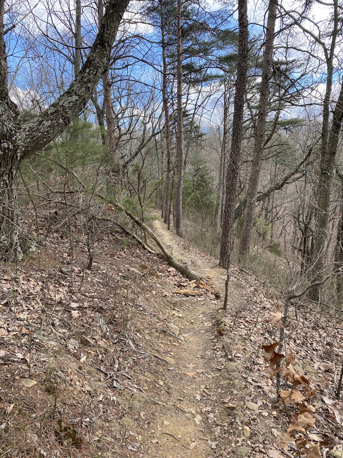 Siltstone Trail