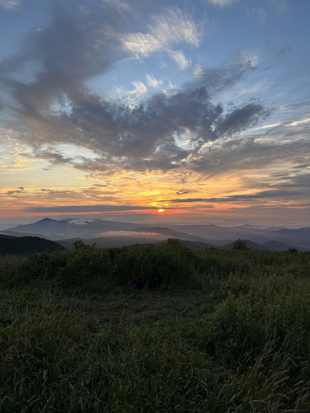 Balsam Mountain Trail