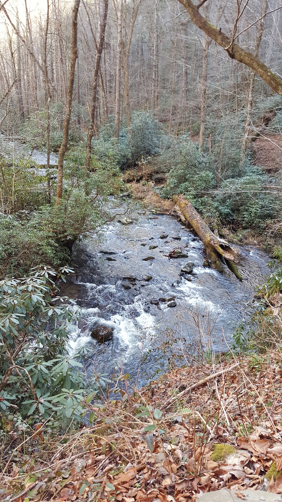 Boogerman Trail