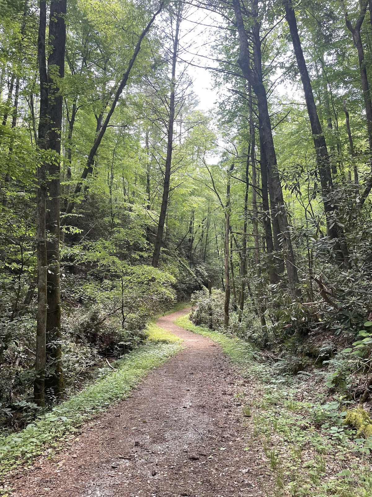 Bote Mountain Trail
