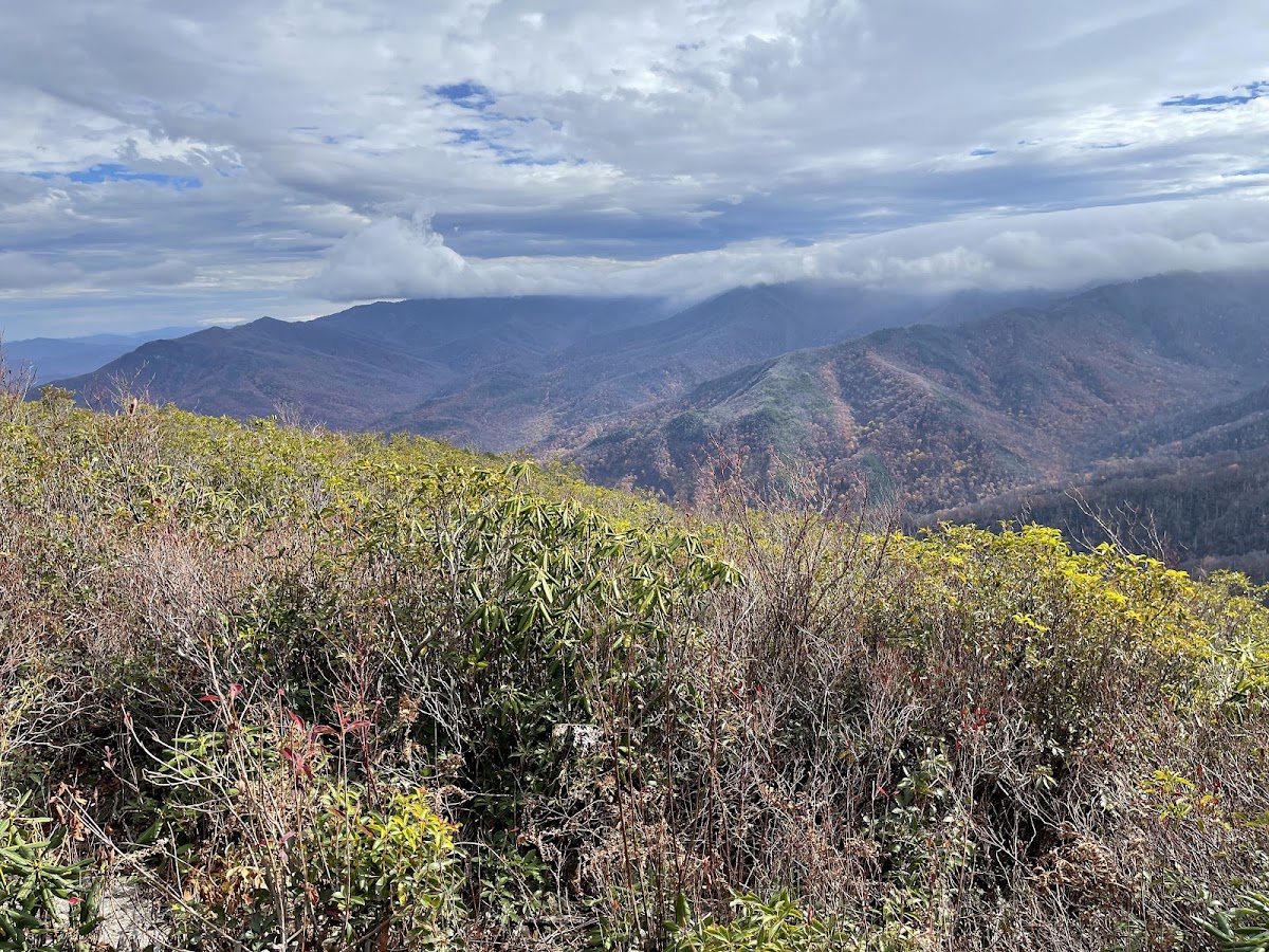 Brushy Mountain Trail