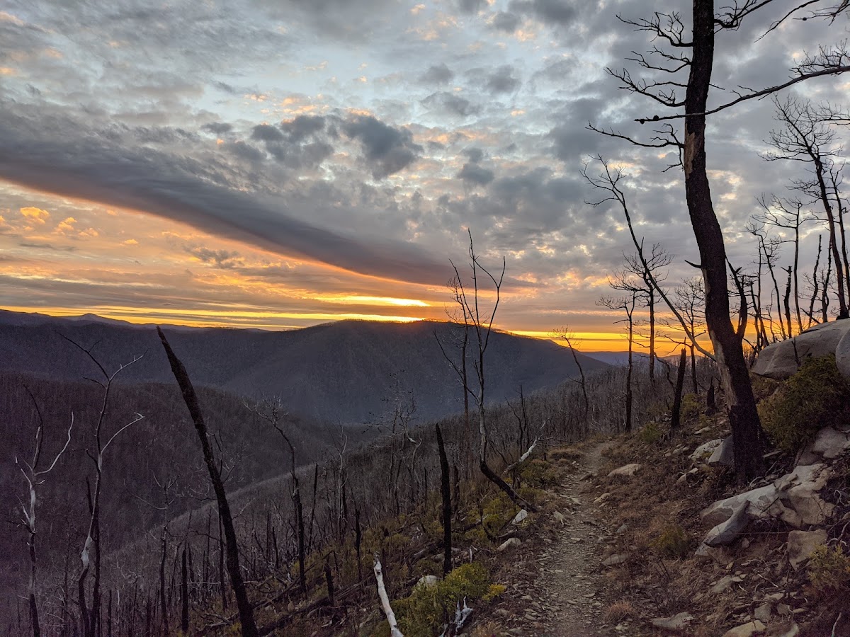 Bull Head Trail