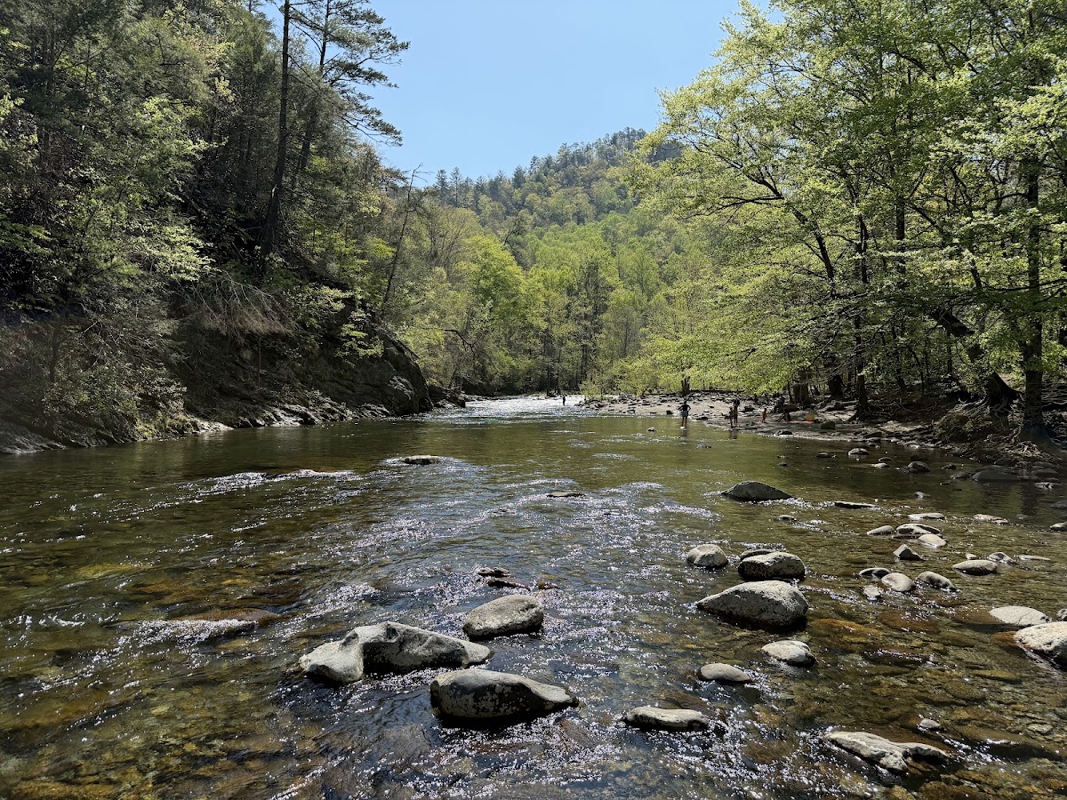 Chestnut Top Trail