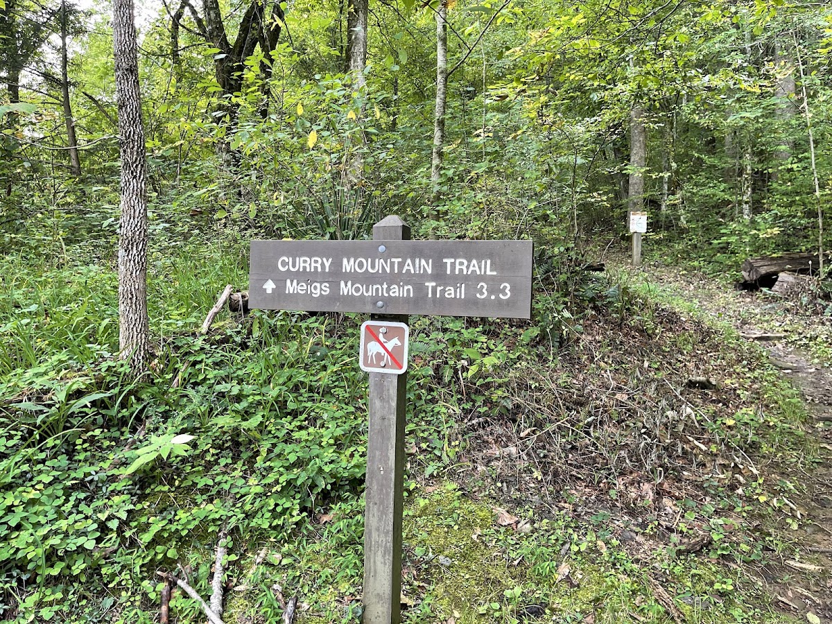 Curry Mountain Trail