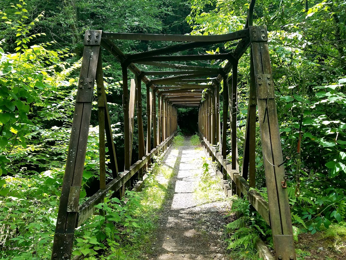 Enloe Creek Trail