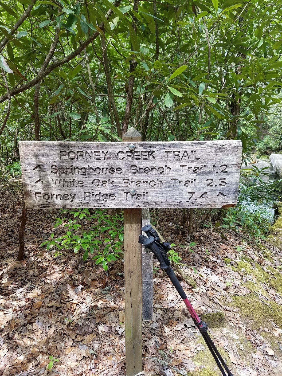 Forney Creek Trail