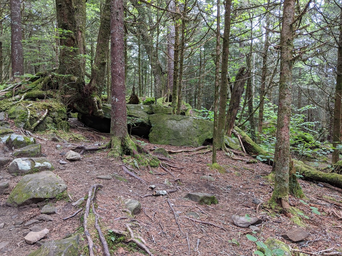 Forney Ridge Trail