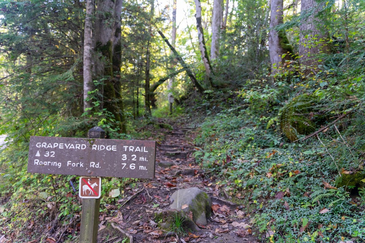 Grapeyard Ridge Trail