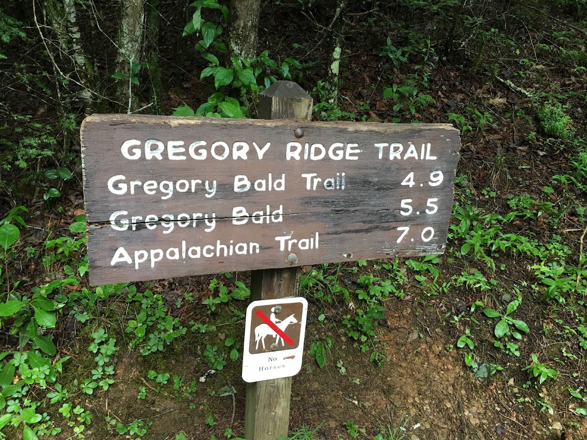 Gregory Ridge Trail