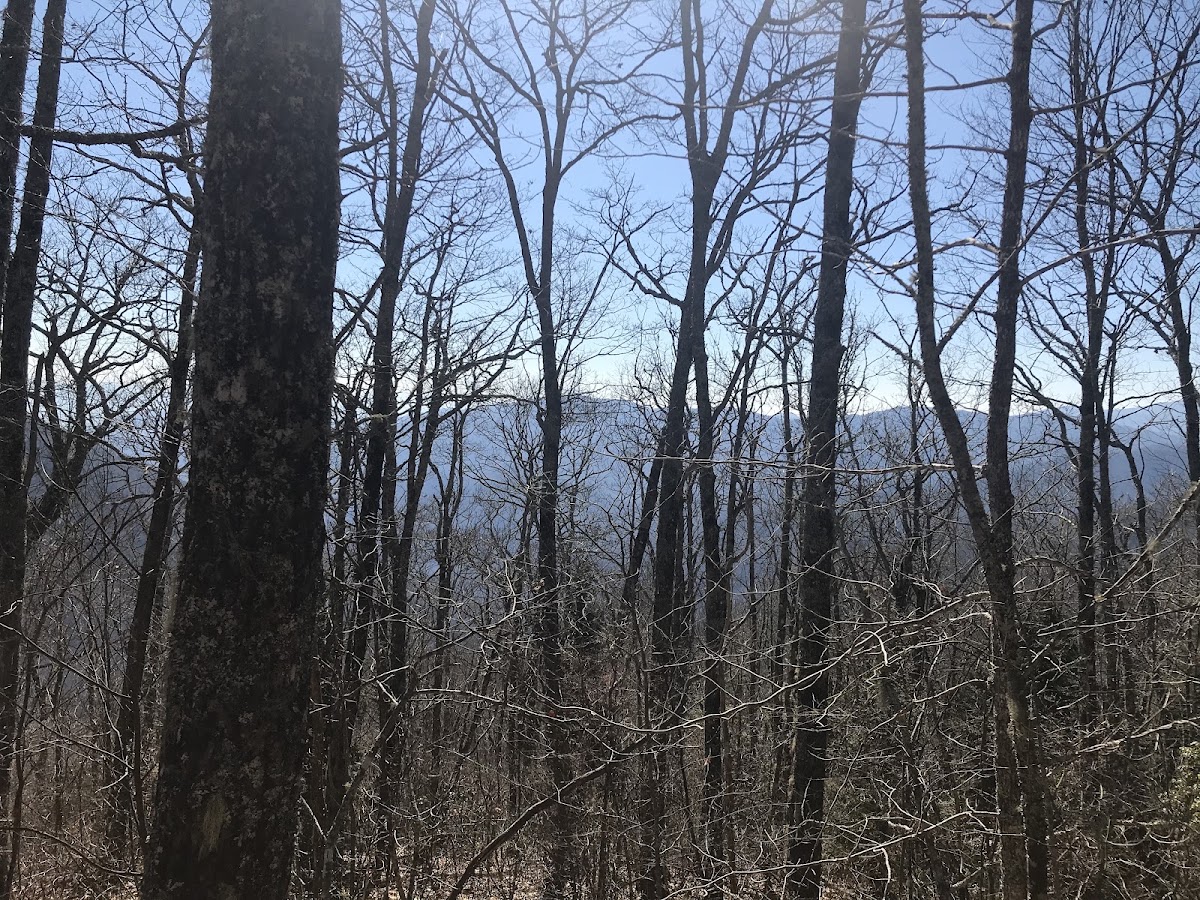 Hughes Ridge Trail