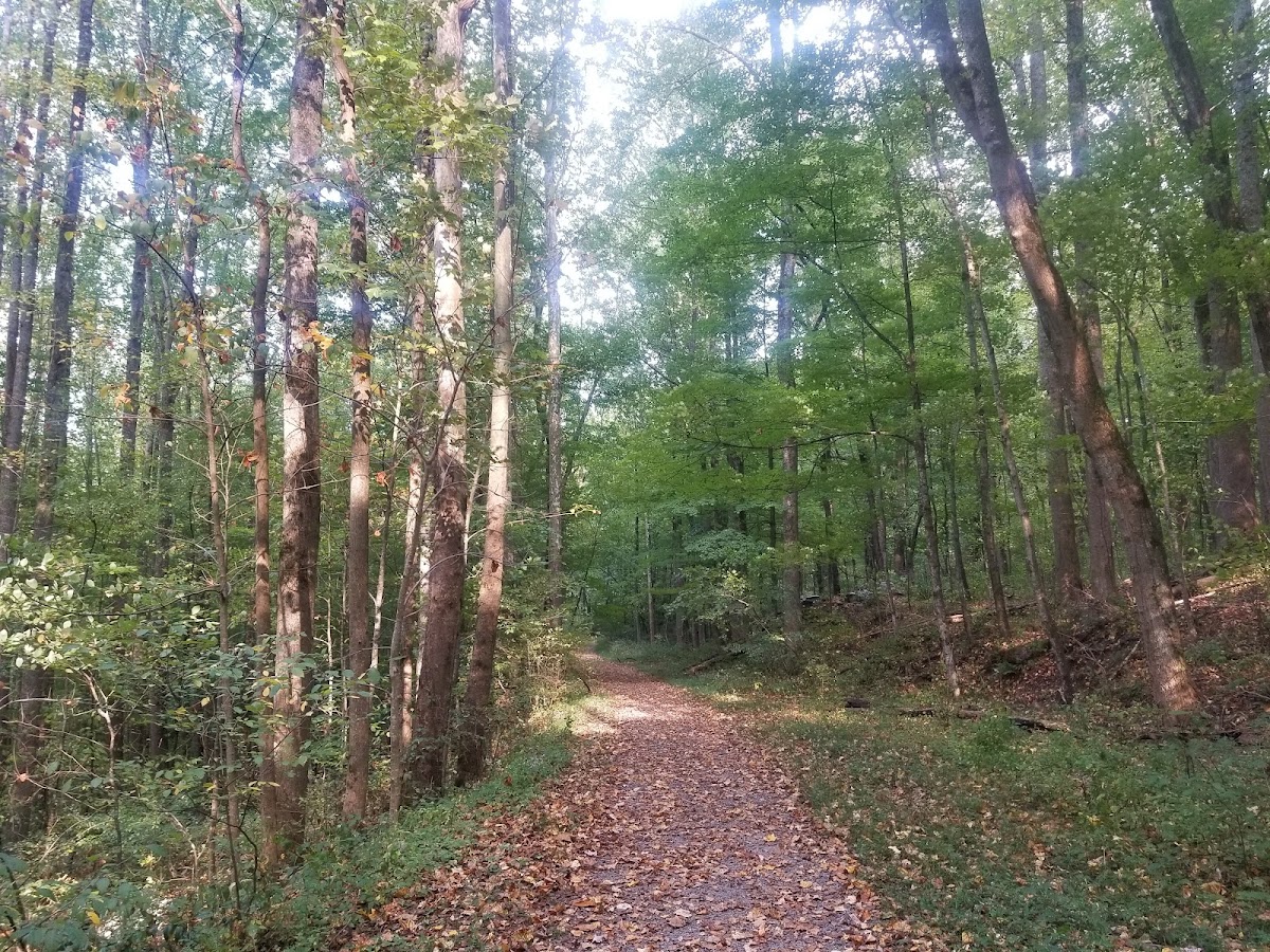 Huskey Gap Trail