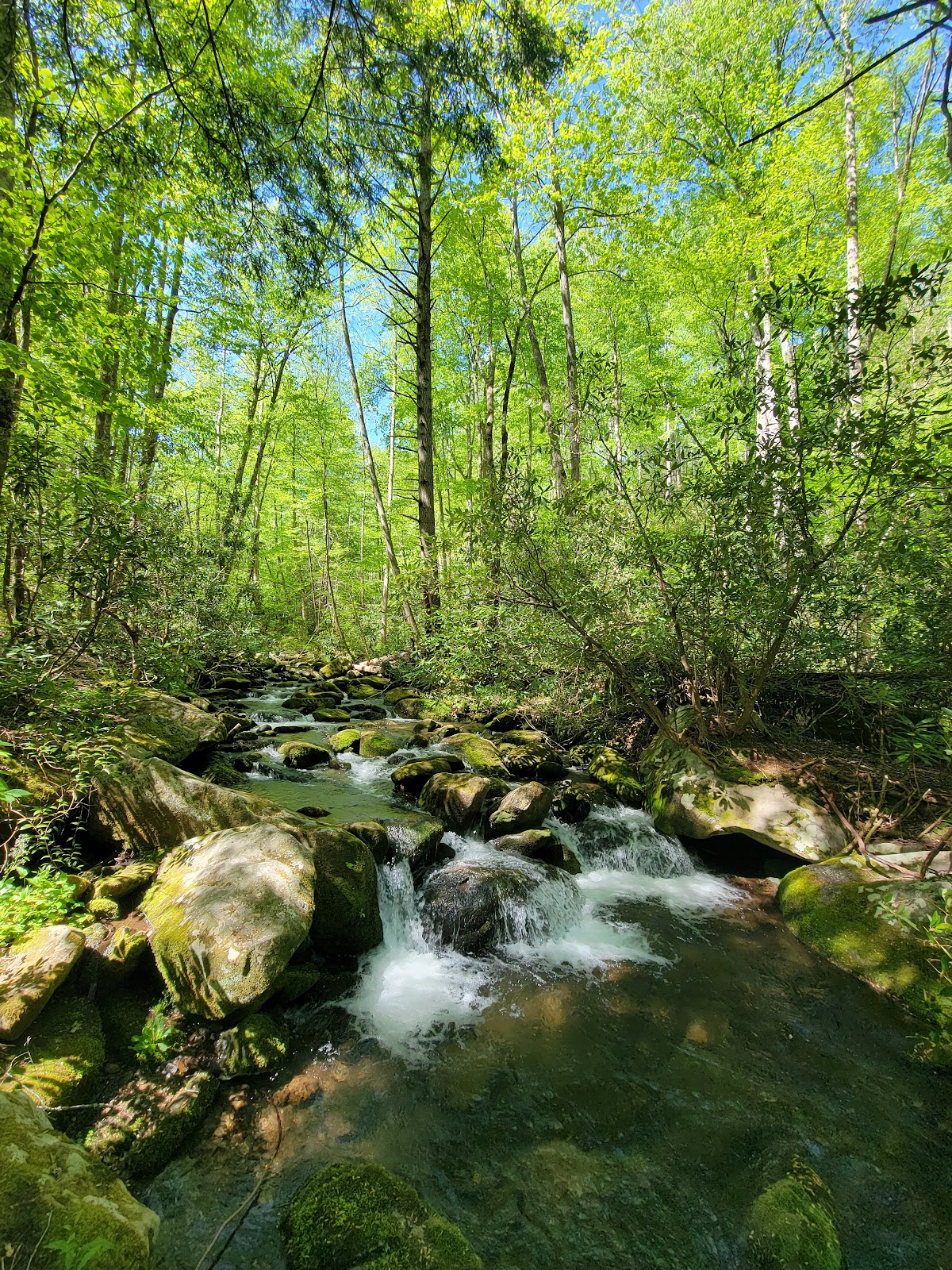 Jakes Creek Trail