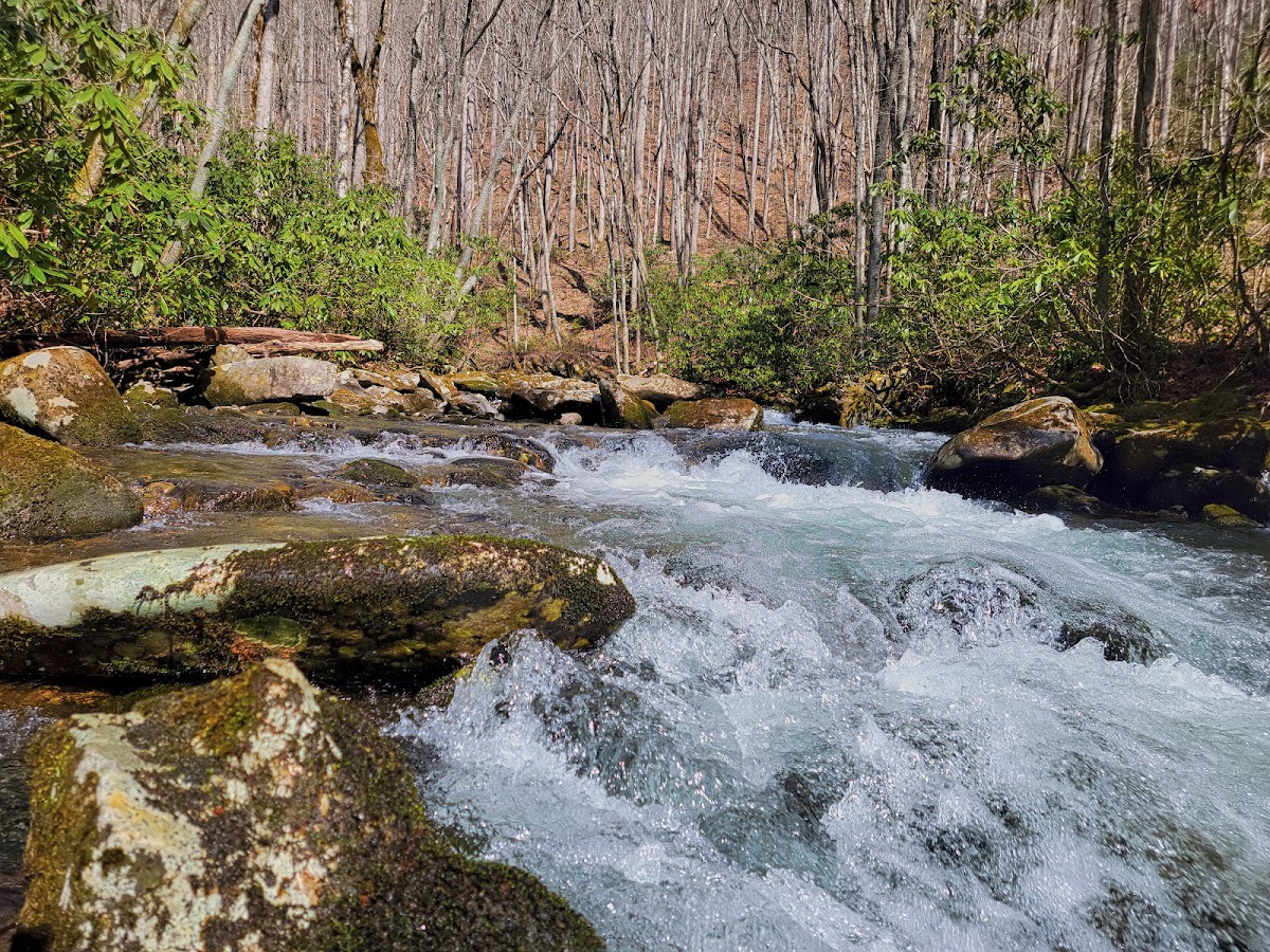 Kanati Fork Trail