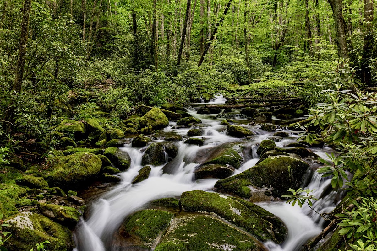 Kephart Prong Trail