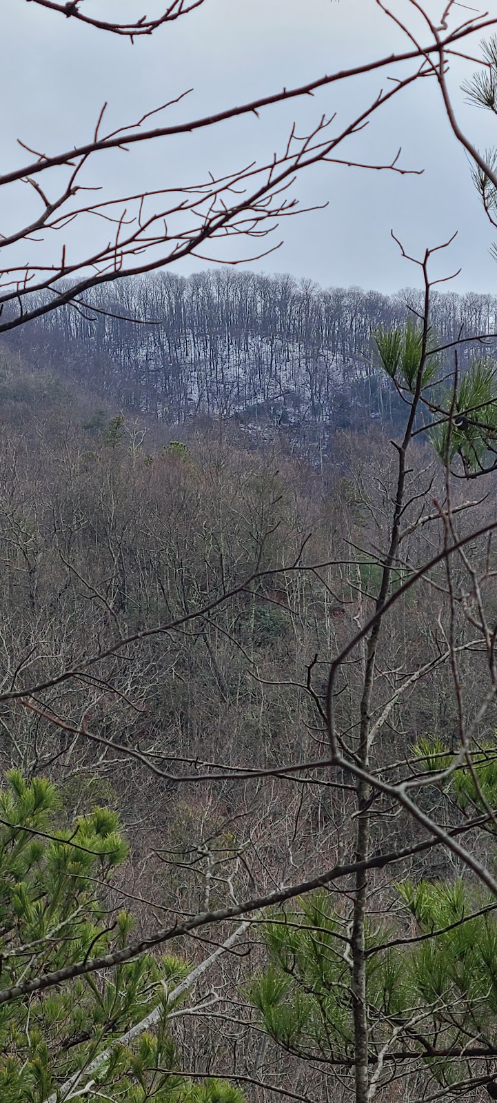 Little Greenbrier Trail
