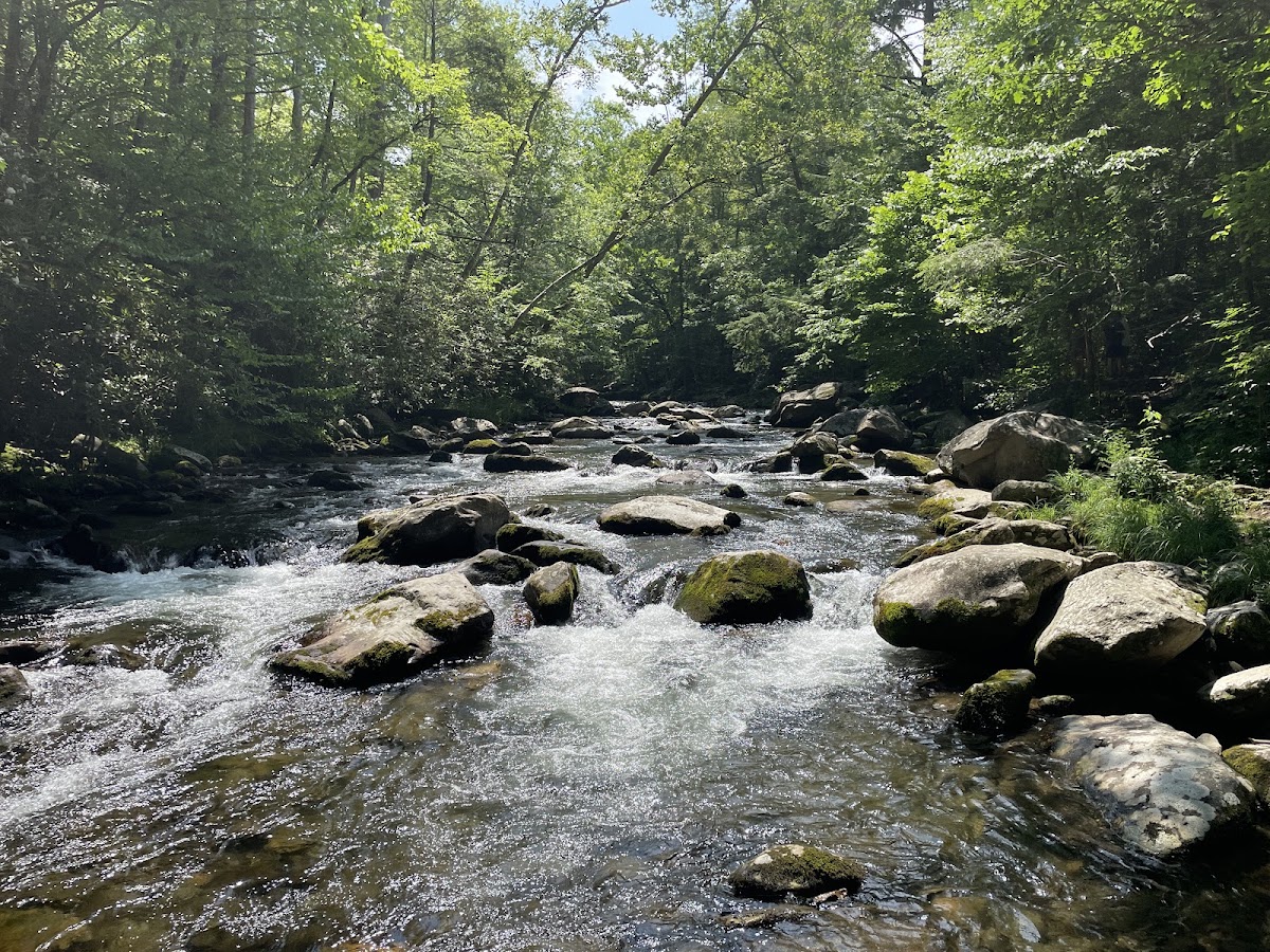 Little River Trail