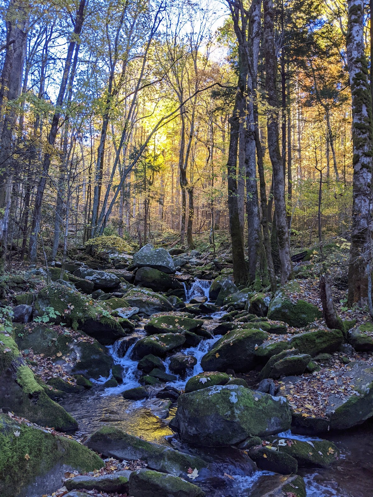 Low Gap Trail