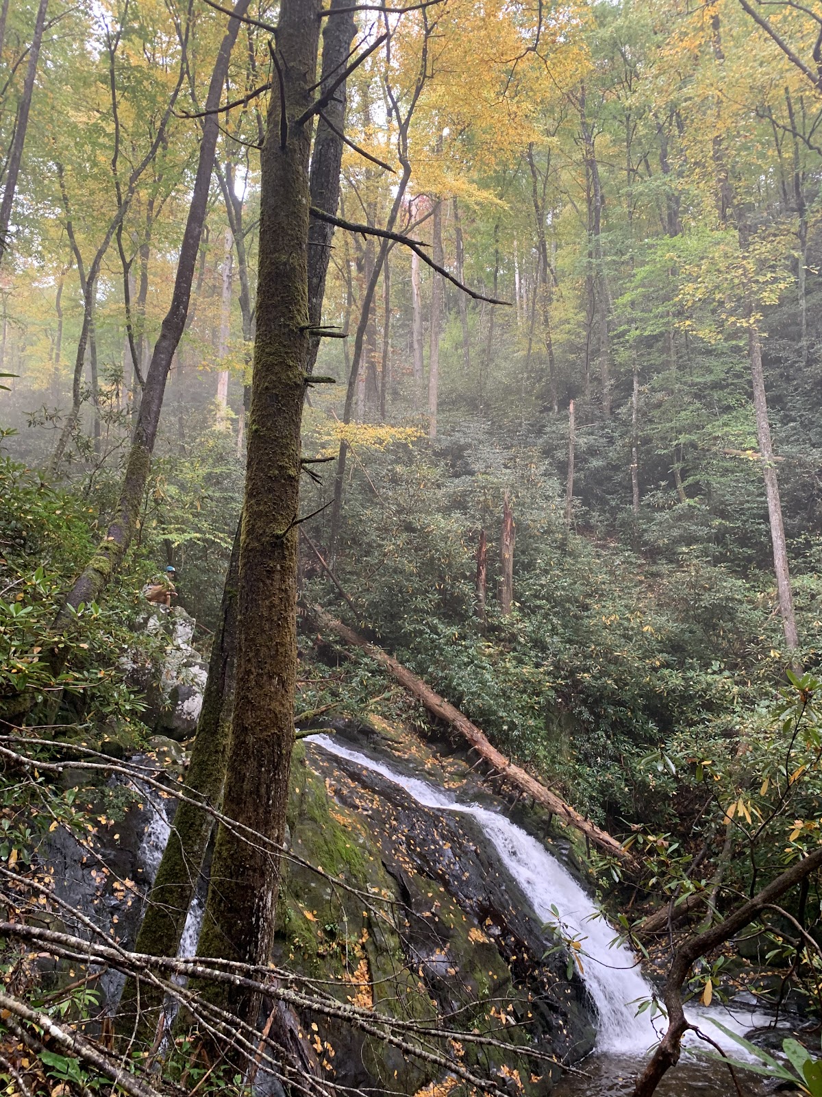 Meigs Mountain Trail