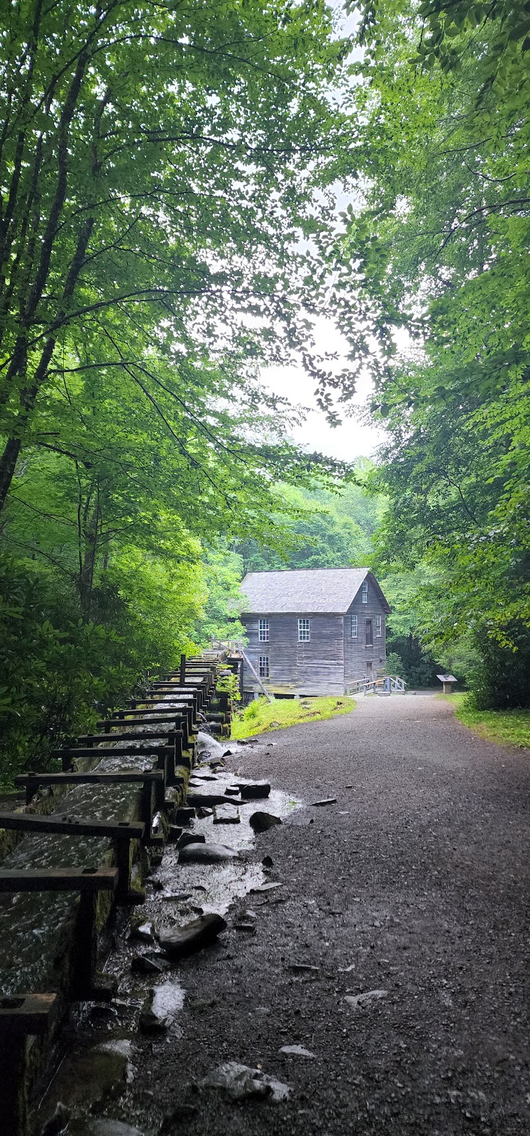 Mingus Creek Trail