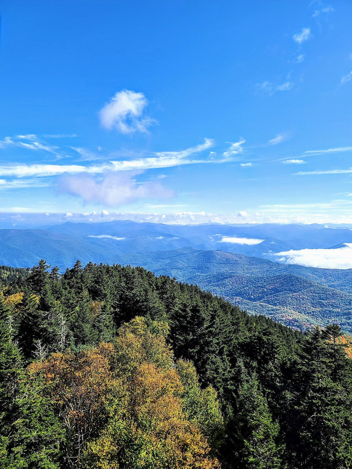 Mount Sterling Trail