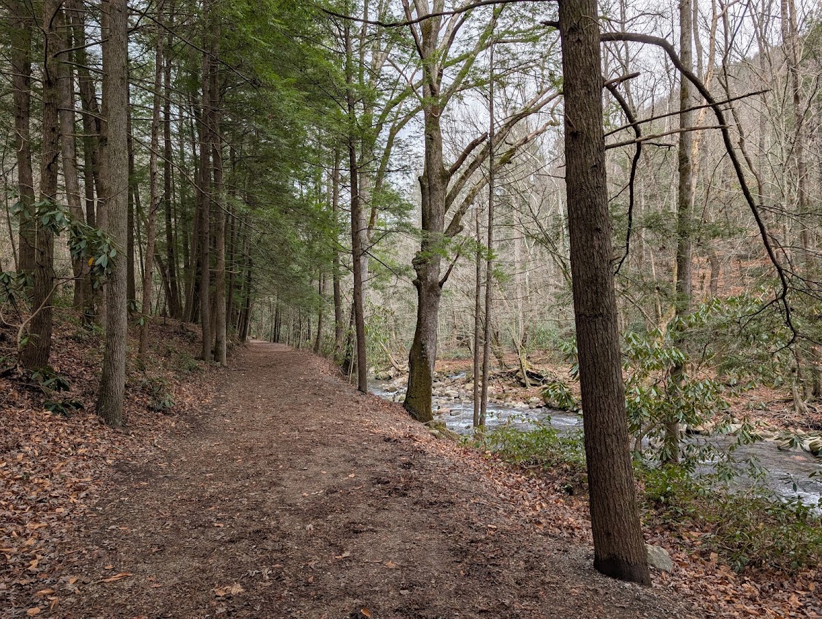 Old Sugarlands Trail
