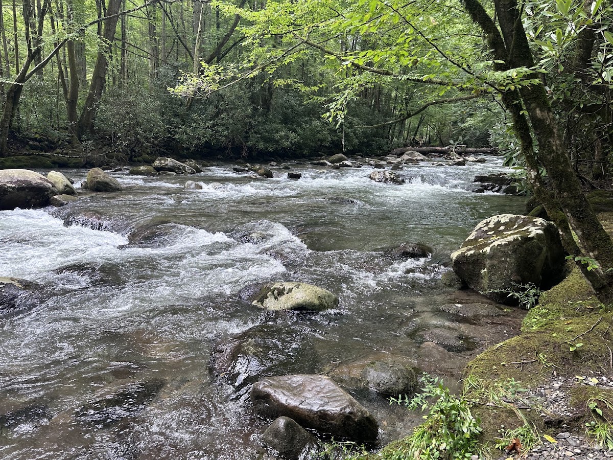 Porters Creek Trail