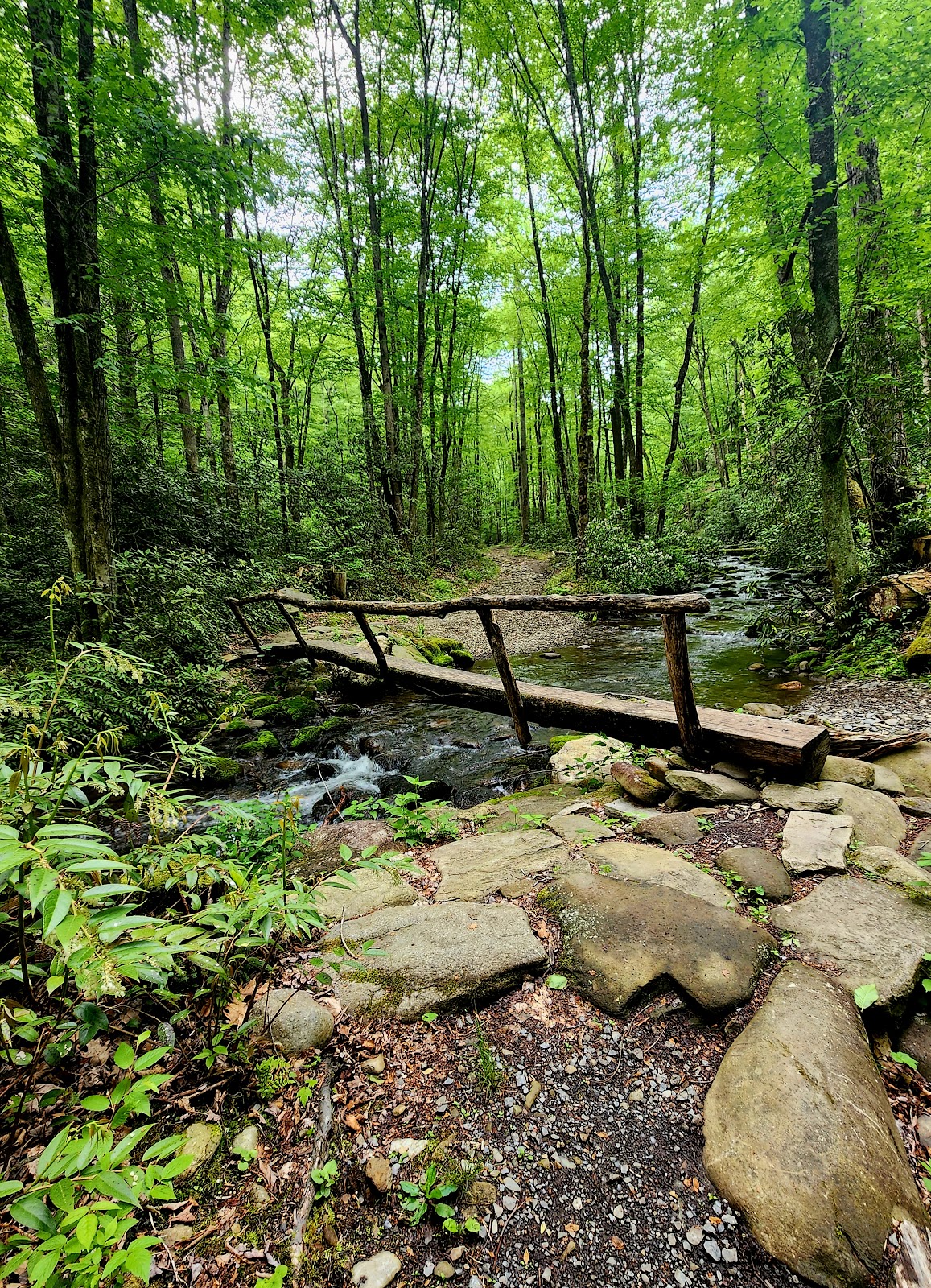 Rough Fork Trail