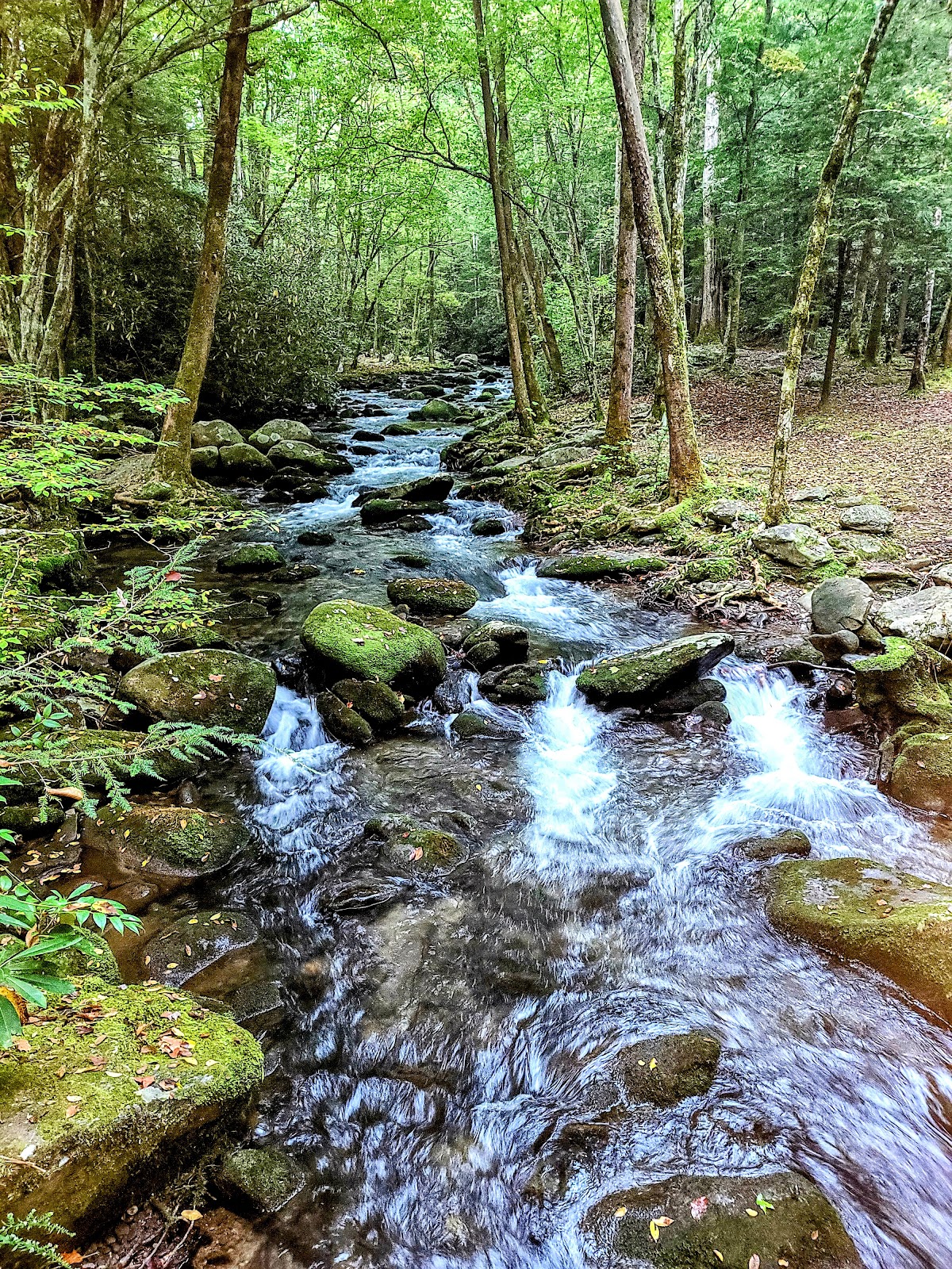 West Prong Trail