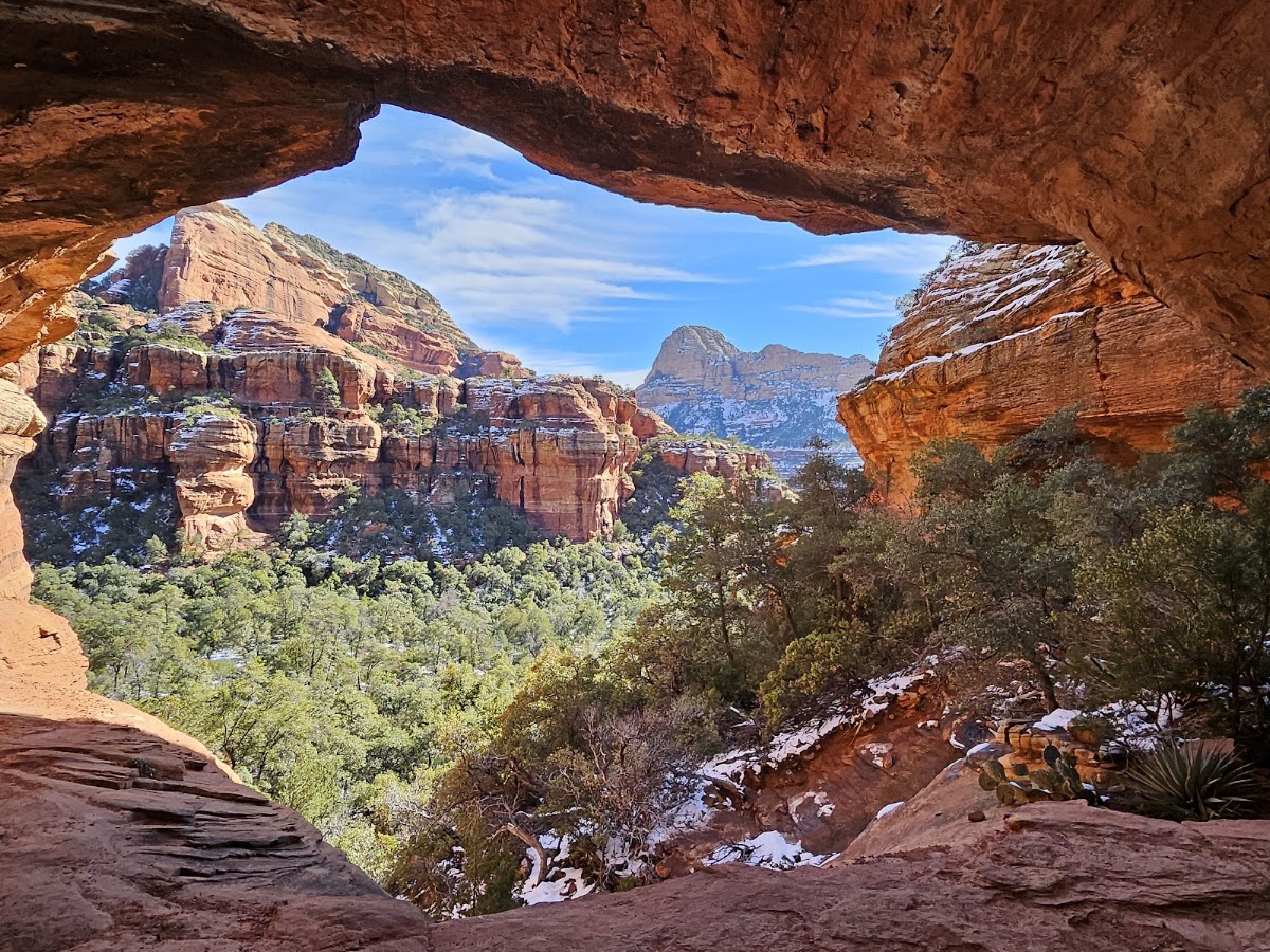 Yew Thicket Trail