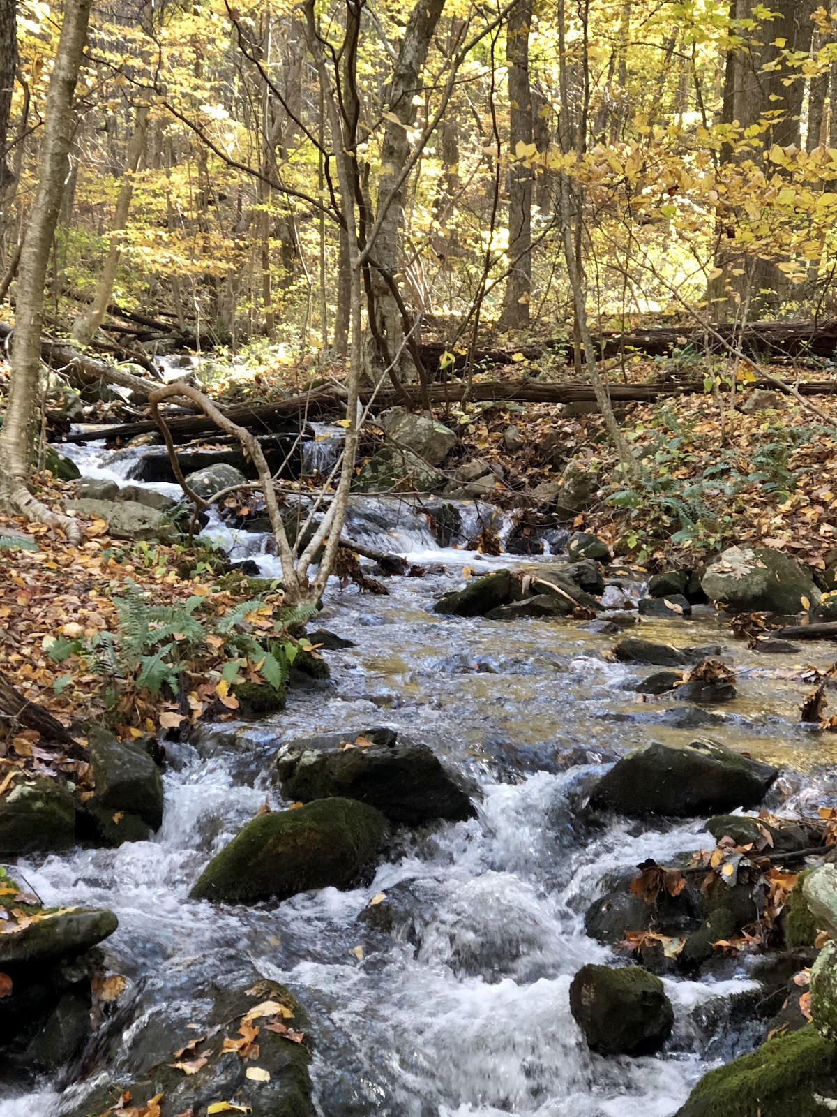 Lands Run
