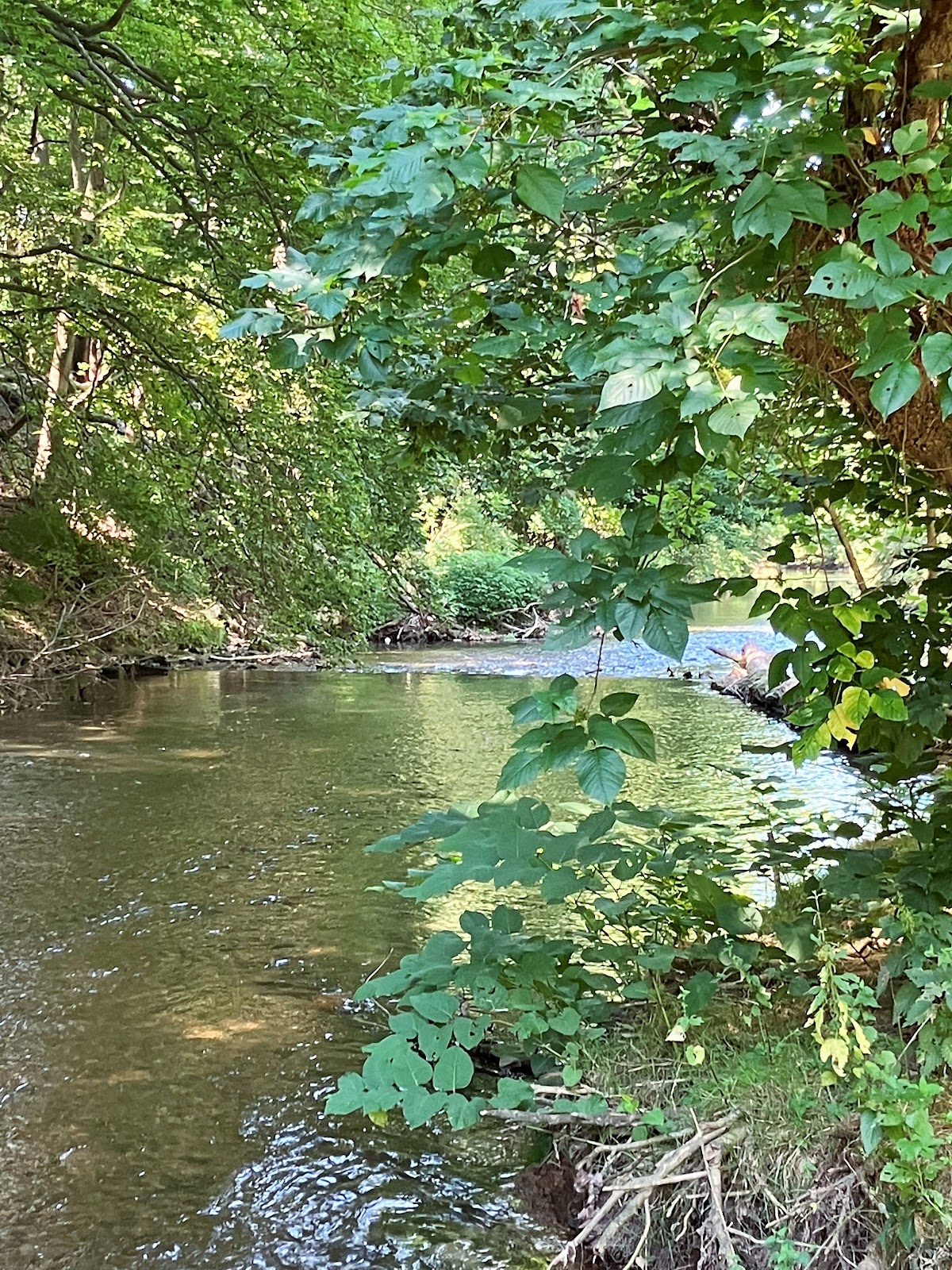 Monocacy Creek