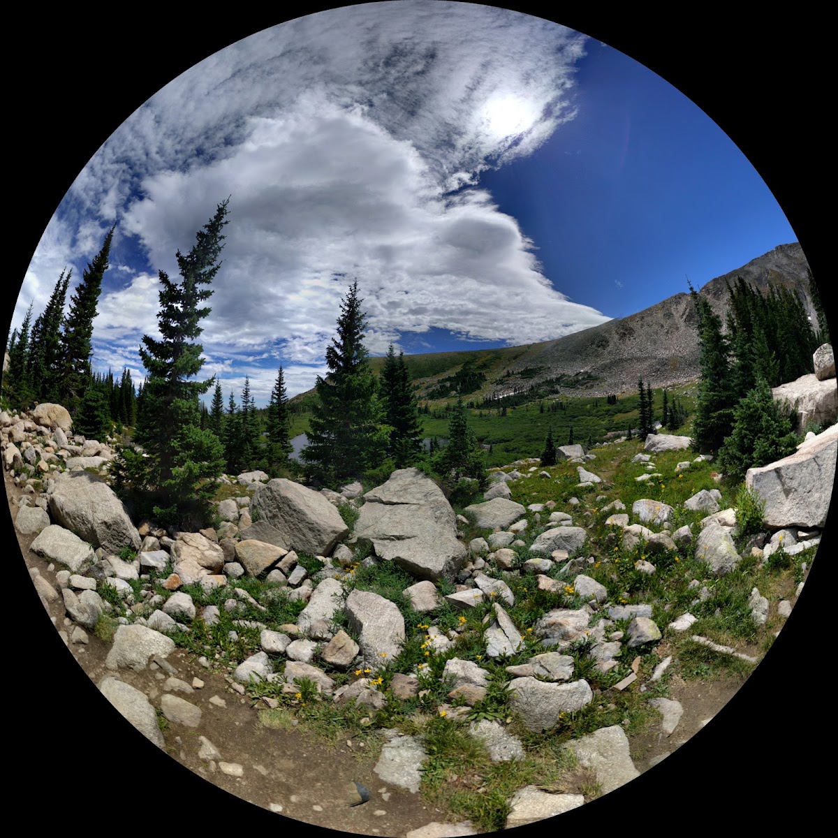 Finch Lake - Pear Lake Trail