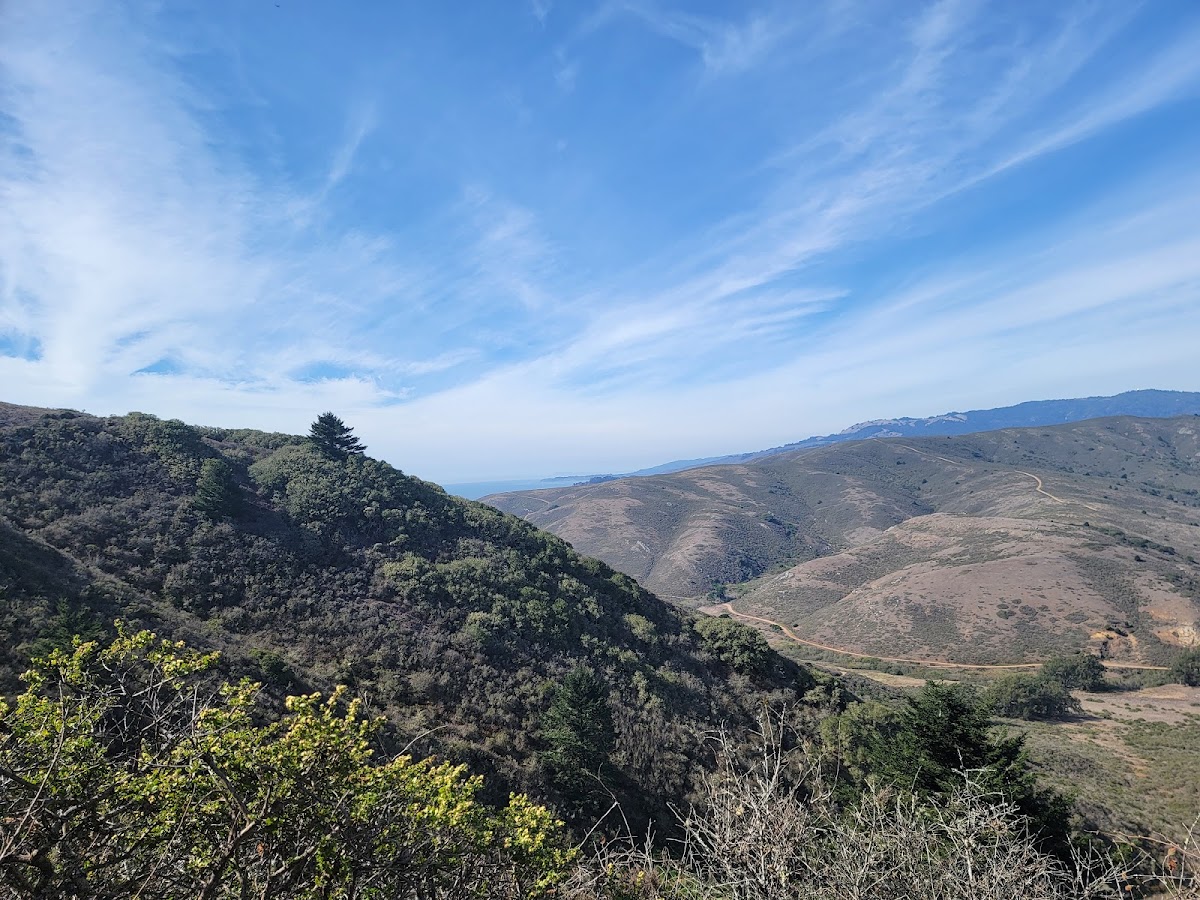 Wolf Ridge Trail