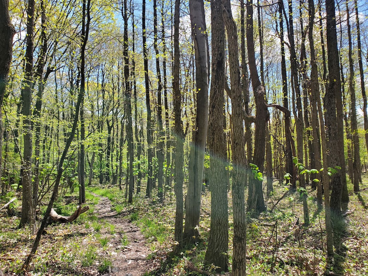 Appalachian Trail