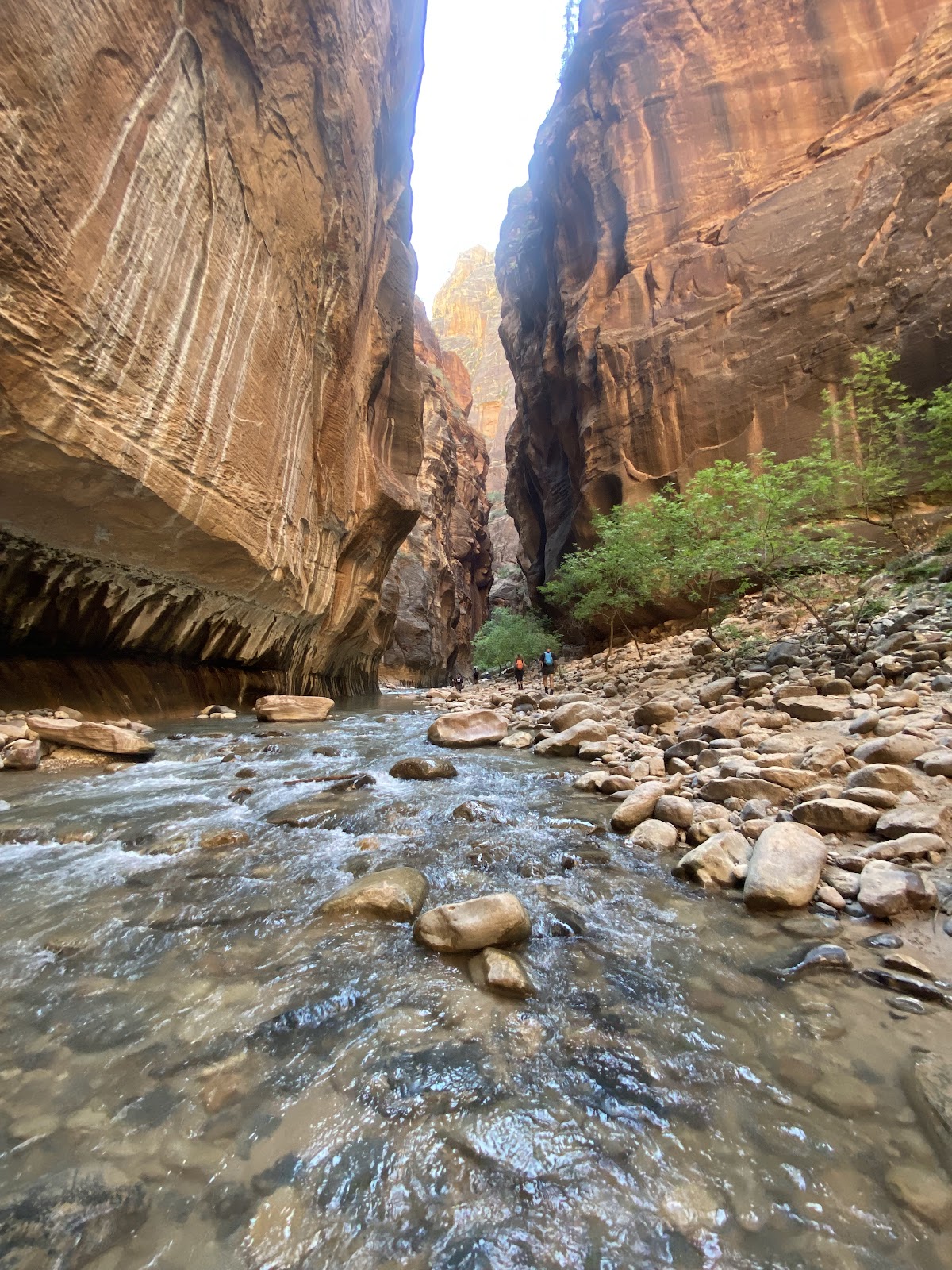The Narrows Top Down