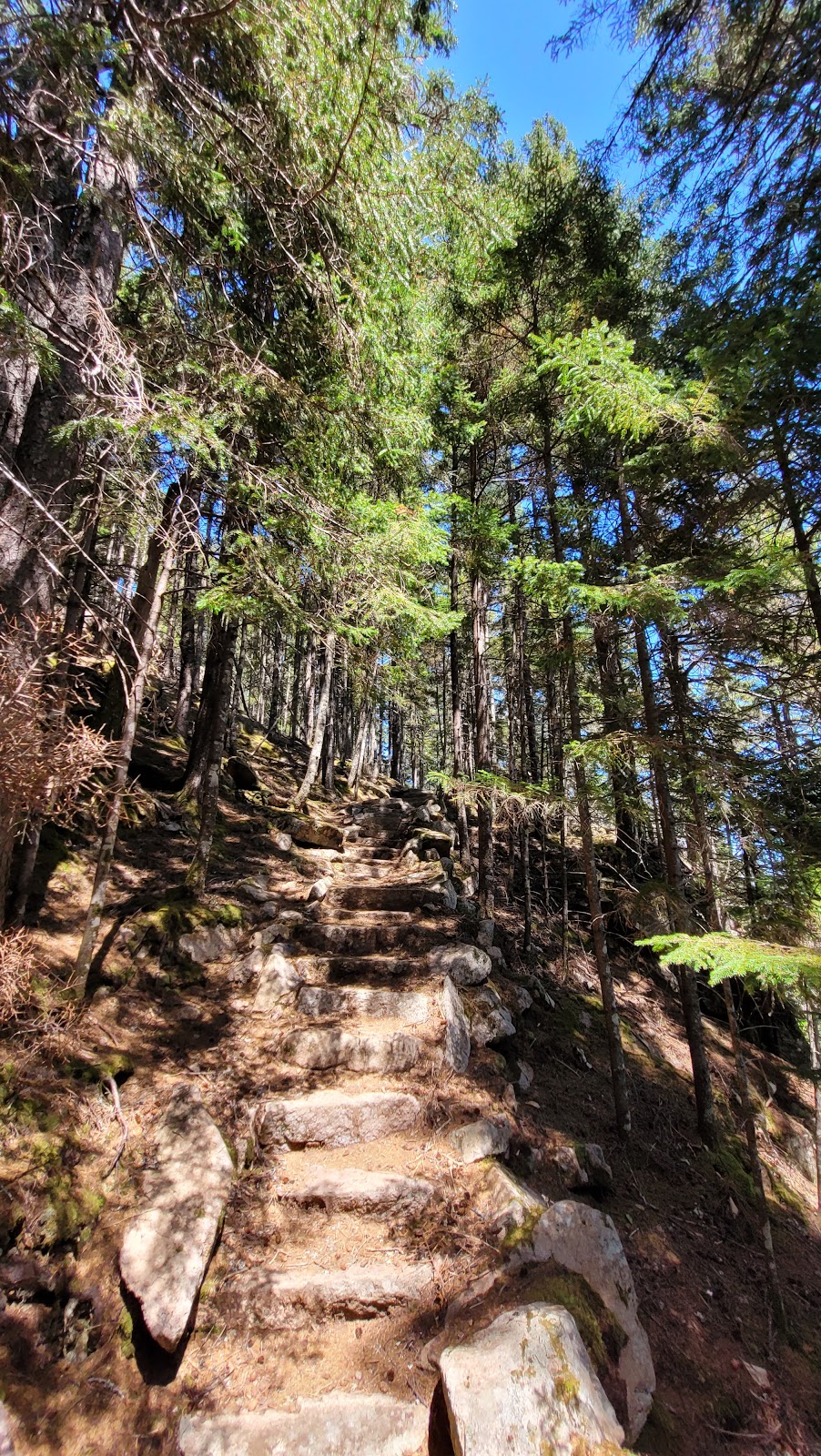 Beech South Ridge Trail
